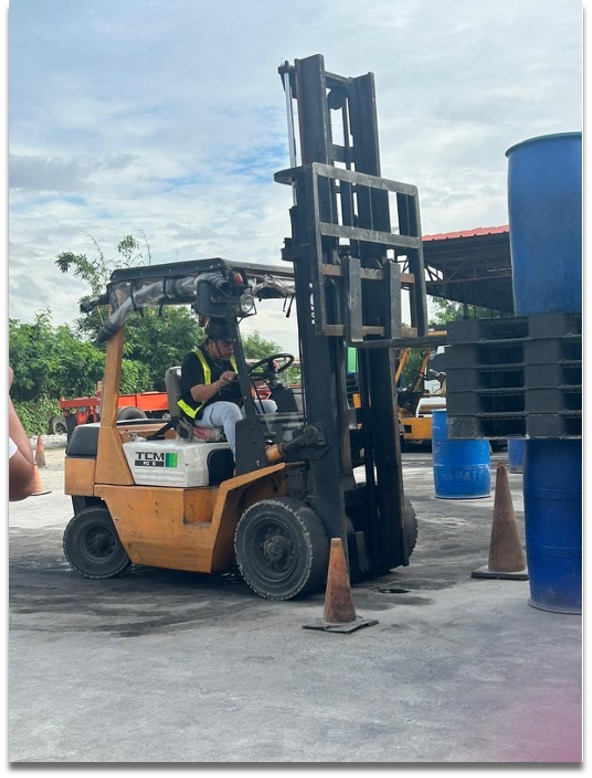 International mobility